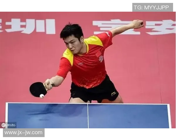 上海羽毛球队的速度分析与战术探讨如何提升比赛表现