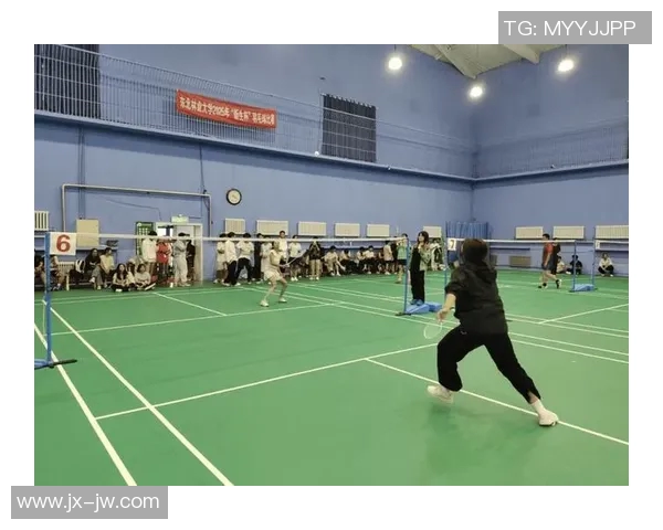 聚焦羽毛球：探索杭州羽毛球队的意识形态与发展之路